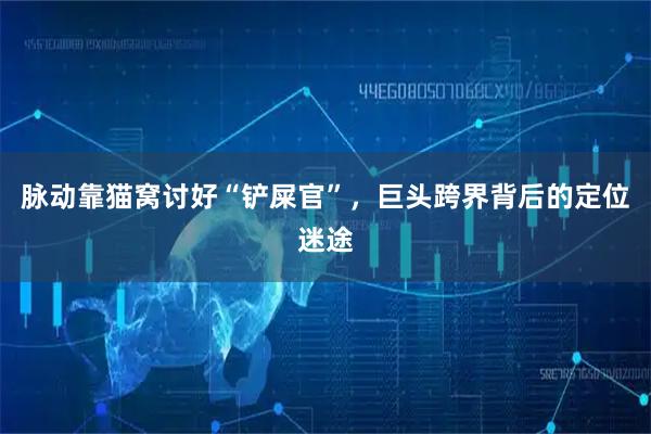 脉动靠猫窝讨好“铲屎官”，巨头跨界背后的定位迷途