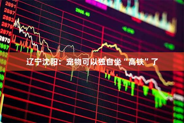 辽宁沈阳：宠物可以独自坐“高铁”了