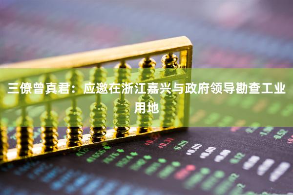三僚曾真君：应邀在浙江嘉兴与政府领导勘查工业用地